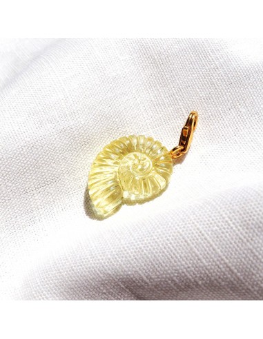 Charms Ammonite Shell - Grand - Citrine Véritable concentré